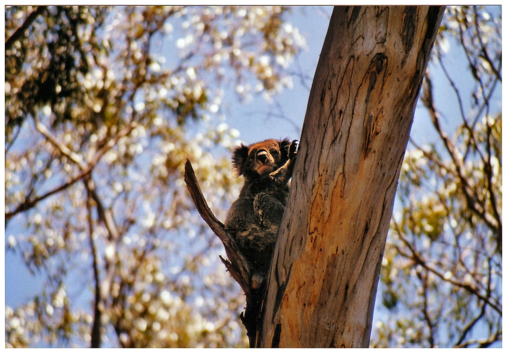 03 - Victoria (4).jpg